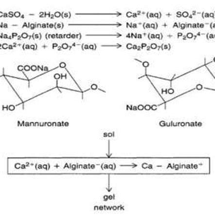 Structure calcium alginate [2] | Download Scientific Diagram