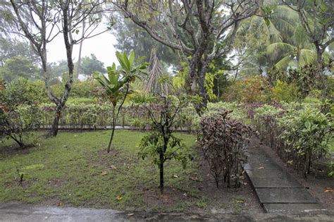 The Rainy Season in the Maldives. Stock Photo - Image of torrential ...