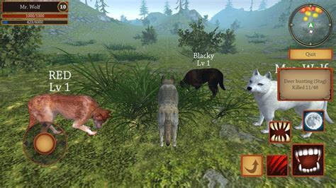 🐺Wolf Simulator Evolution Single/Online Gameplay 3D, By Pocket Games Entertainment - YouTube