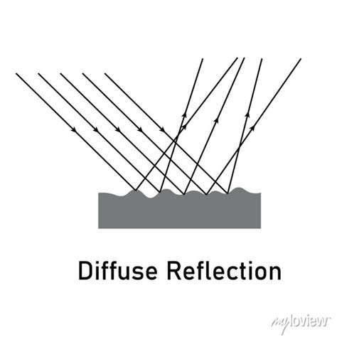 Diffuse reflection diagram. scientific vector illustration isolated ...