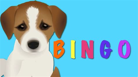 BINGO - Dog Song Nursery Rhyme | Kids Animation Rhymes For Children - YouTube