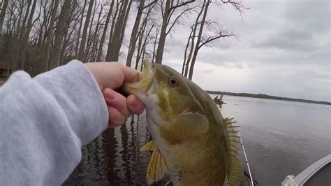 Bass Fishing on Lake Champlain 4/22/17 - YouTube