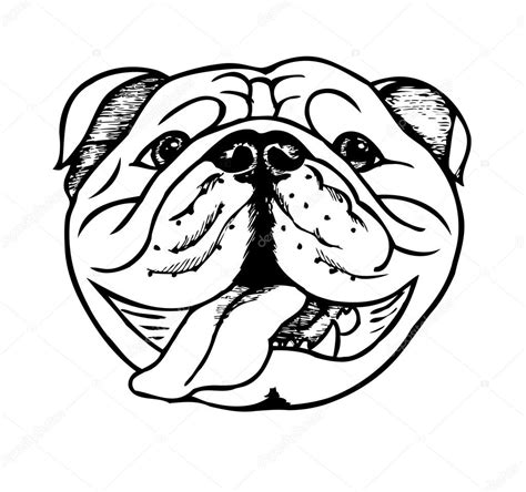 English Bulldog Face Coloring Pages