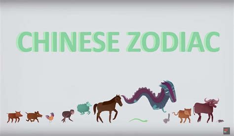 Learn How The Chinese Zodiac Works With This Animated Video