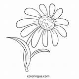 Daisy Flower Coloring Pages Free Printable PDF sketch template