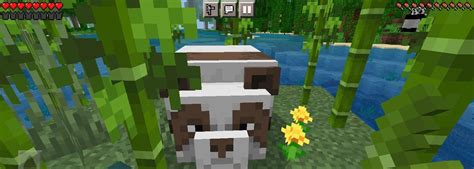 I found a vanilla spawning brown panda : Minecraft