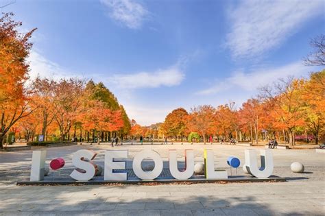 Premium Photo | SEOUL SOUTH KOREANOVEMBER 9 2020 Seoul forest Park in Autumn Seoul South Korea