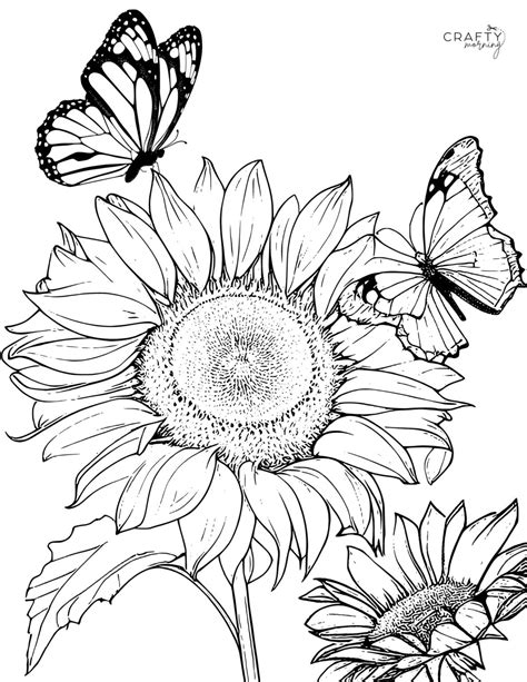 Free Printable Sunflower Coloring Pages - Crafty Morning