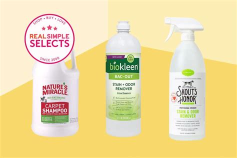 The 7 Best Pet Stain Removers of 2023, Tested & Reviewed