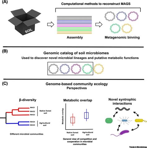 Genome-Resolved Metagenomics Is Essential for Unlocking the Microbial ...