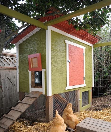 Setting up an Urban Chicken Coop – 7 Beautiful DIY Chicken Coop Plans