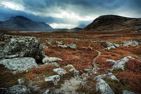 Conheça os Biomas Tundra, Taiga e Floresta Temperada