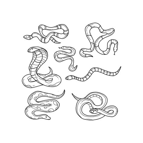 Premium Vector | Snake handrawn doodle illustrations vector set