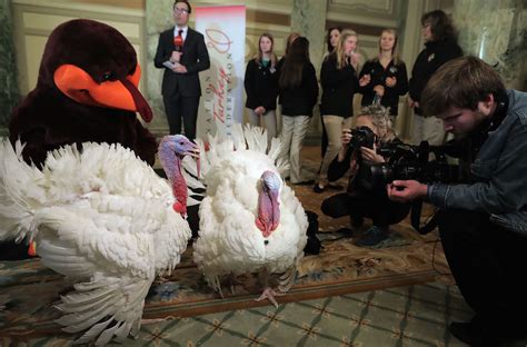 Could Turkey Poop Help Stop Climate Change? An Israeli Research Team ...