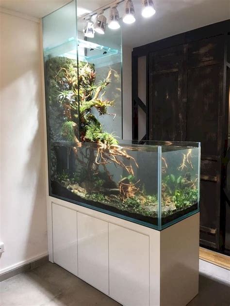 Turtle Tank Decoration Ideas Fresh Wall Mounted Fish Tank and Aquarium ...