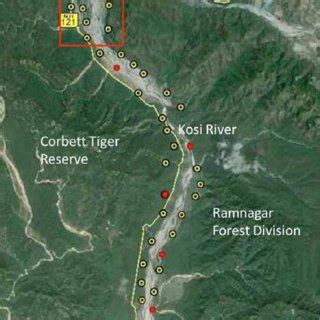 All about Kosi River Jim Corbett Uttarakhand | Lets Trip Desi