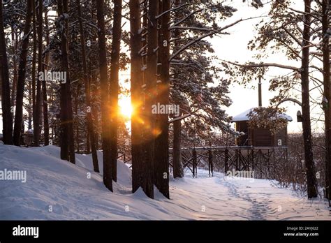 Winter in Siberia Stock Photo - Alamy