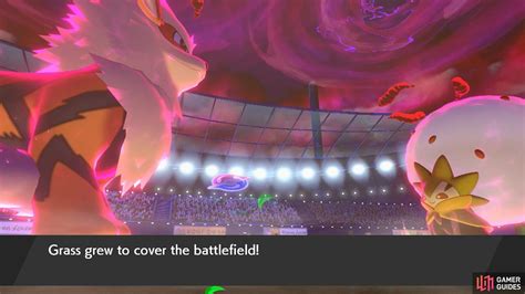 Weather and Terrain - Pokémon Battles - Introduction | Pokémon: Sword & Shield | Gamer Guides®