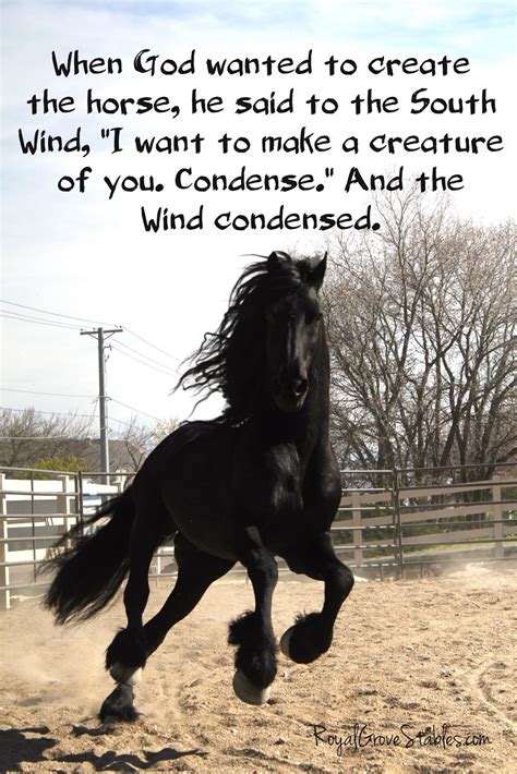 Inspirational Horse Quotes. QuotesGram