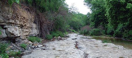 Something new is emerging from the Austin Chalk. | Outdoor, Explore ...