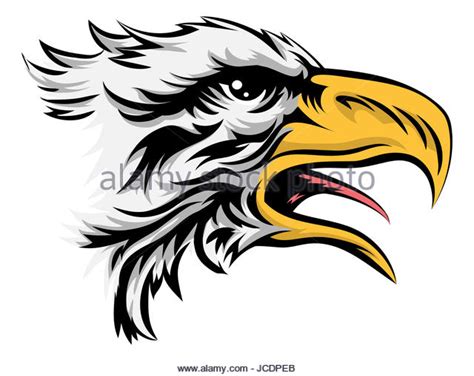 Falcon Head Drawing at GetDrawings | Free download