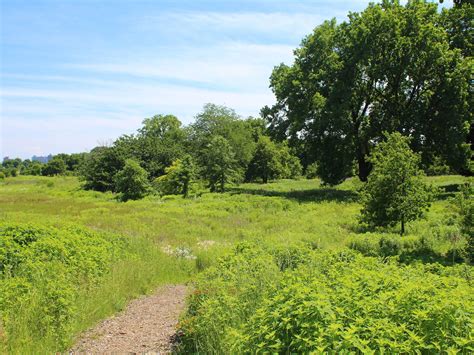 12 Secret Parks and Gardens In Chicago