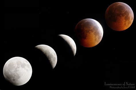 Lunar Eclipse Images - Jason P. Odell Photography