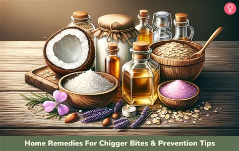 Home Remedies For Chigger Bites & Prevention Tips - Health and fitness info.Weight loss Diet