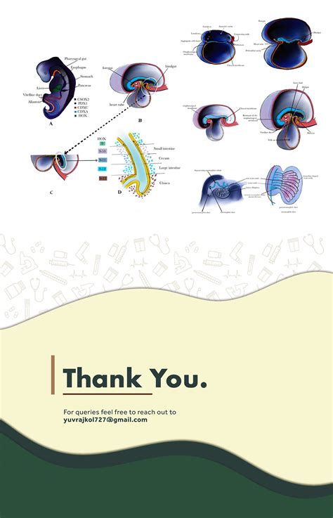 Medical Illustrations on Behance