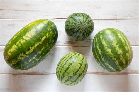 Your Guide to Watermelons: How to Pick, Cut, and Freeze Them!