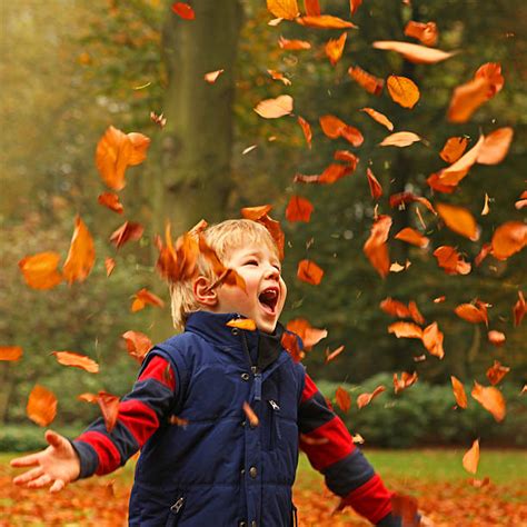 4,600+ Children Throwing Leaves Stock Photos, Pictures & Royalty-Free ...