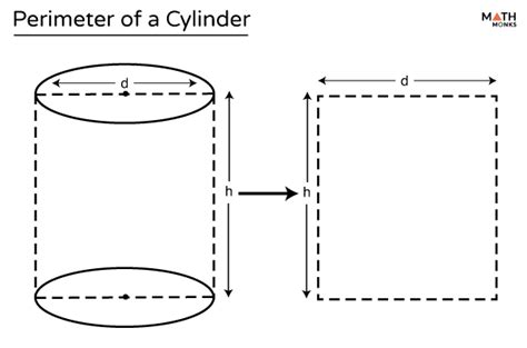 Perimeter of a Cylinder - Definition, Formula, & Examples