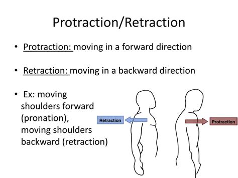 PPT - Terminology PowerPoint Presentation, free download - ID:2205573