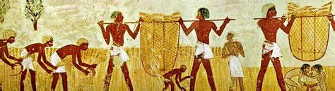 Harvesting wheat | Ancient egyptian food, Ancient civilizations ...