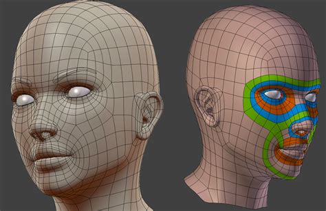 Female Head Topology Feedback Polycount - Riset