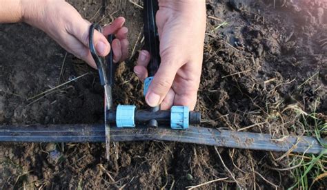 How Long Does It Take To Install A Drip Irrigation System?