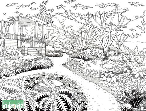 Garden Drawing Details | DrawnToGarden