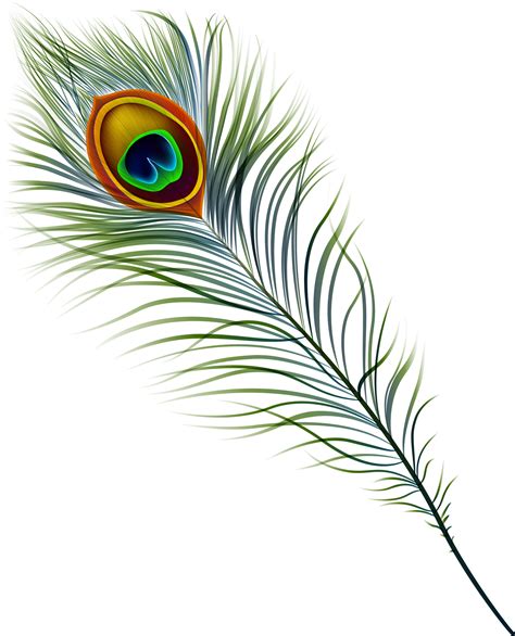 Antique Mall In Marietta,georgia - Peacock Feather Clipart - Png Download - Full Size Clipart ...