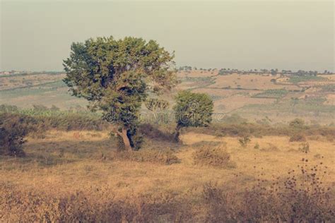 Spectacular Landscape of Savannah Covering Hills during Dry Season. Stock Photo - Image of ...