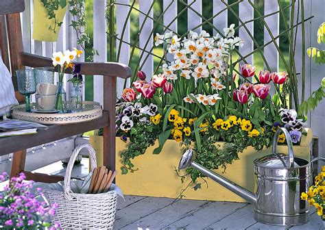 Réaliser une jolie jardinière de printemps - Détente Jardin