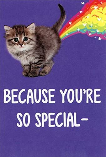 15 Best Funny Cat Valentine Cards To Make Your Loved One Laugh