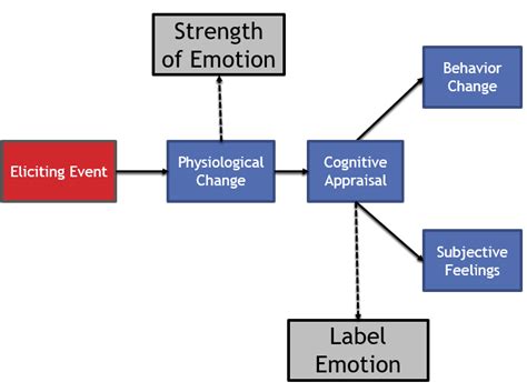 What is the correct version of the Schacter-Singer Model? : Mcat