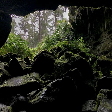 Kaumana Caves State Park: Free, Family-Friendly Lava Tube in Hawaii