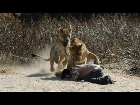 Lion vs Man Unbelievable video - YouTube