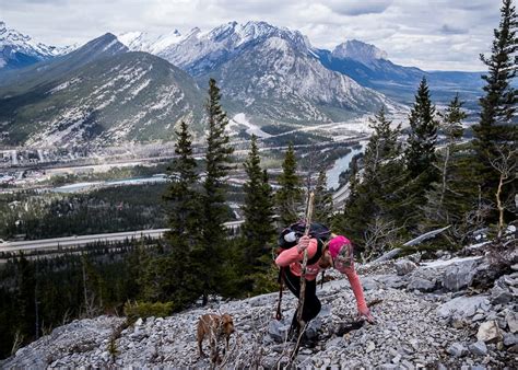 The Heart Mountain Hike near Canmore