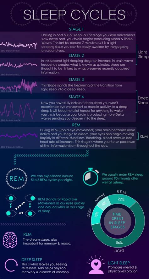 Understanding Sleep Cycles | Sleep Science - Prestige Beds