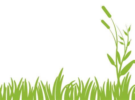 Grass Clipart - 59 cliparts