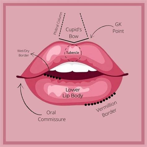 Is A Half-Syringe Of Lip Filler Enough? — CRAVE BEAUTY, 54% OFF