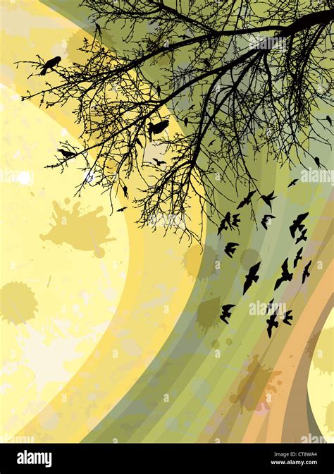 birds on a branch vector illustration Stock Photo - Alamy