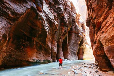 Take a Day Trip to Zion National Park From Las Vegas